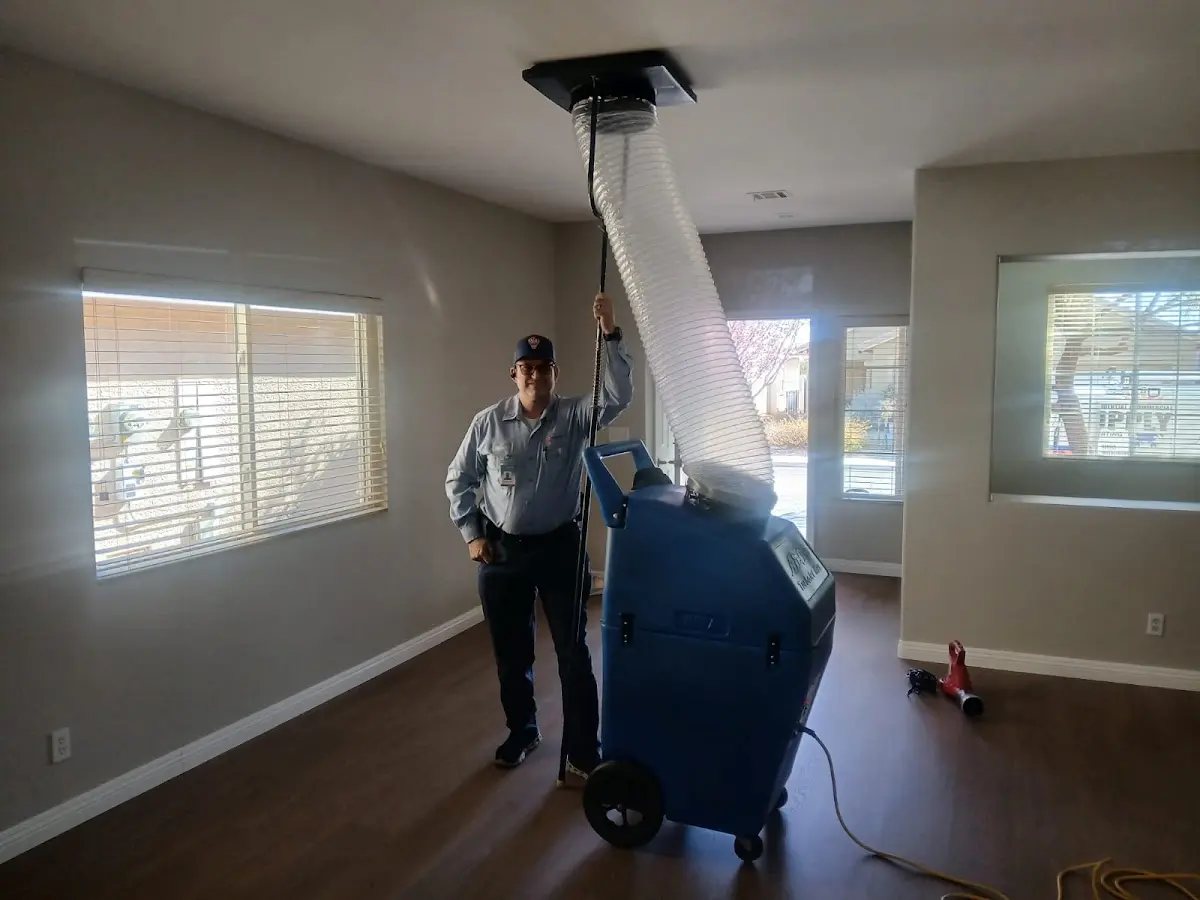 Professional Dryer Vent Cleaning work inside a Dunedin home